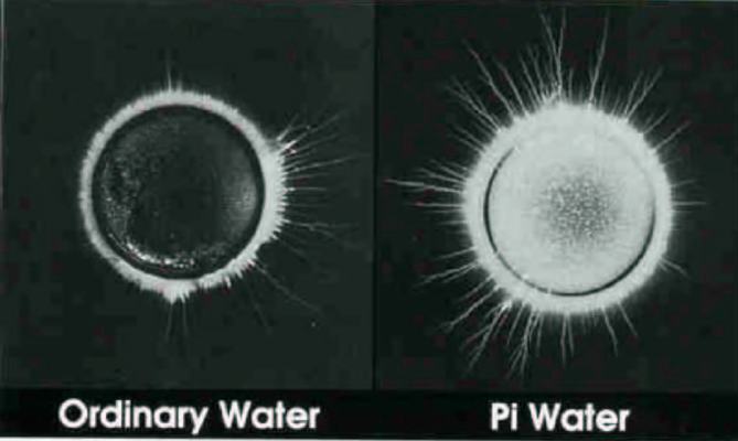 Living Energy PiMag Water